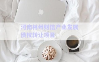河南林州財信產(chǎn)業(yè)發(fā)展債權(quán)轉(zhuǎn)讓項(xiàng)目