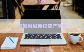 安徽融城債權(quán)資產(chǎn)項目
