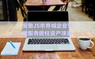 安徽JS市養(yǎng)城企業(yè)管理服務債權資產項目