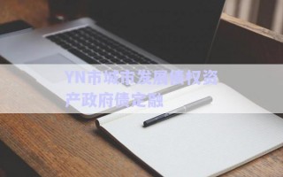 YN市城市發(fā)展債權資產政府債定融