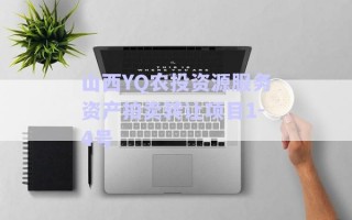 山西YQ農(nóng)投資源服務資產(chǎn)拍賣轉(zhuǎn)讓項目1-4號