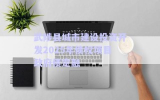 武陟縣城市建設(shè)投資開發(fā)2025年債權(quán)項(xiàng)目政府債定融