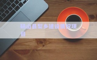 碭山縣梨鄉(xiāng)建設債權(quán)項目