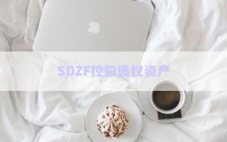 SDZF控股債權(quán)資產(chǎn) SDZF控股債權(quán)資產(chǎn)