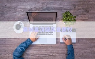 襄城縣漢盛實(shí)業(yè)債權(quán) 襄城縣漢盛實(shí)業(yè)債權(quán)