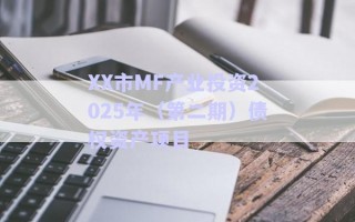 XX市MF產業(yè)投資2025年(第二期)債權資產項目 XX市MF產業(yè)投資2025年(第二期)債權資產項目