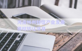 河南林州財信產(chǎn)業(yè)發(fā)展債權(quán)轉(zhuǎn)讓項(xiàng)目
