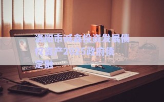 洛陽市誠鑫投資發(fā)展債權(quán)資產(chǎn)2025政府債定融