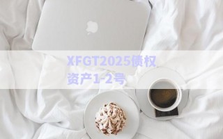 XFGT2025債權(quán)資產(chǎn)1-2號 XFGT2025債權(quán)資產(chǎn)1-2號