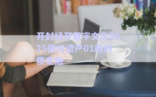 開(kāi)封經(jīng)開(kāi)數(shù)字文化2025債權(quán)資產(chǎn)01政府債定融