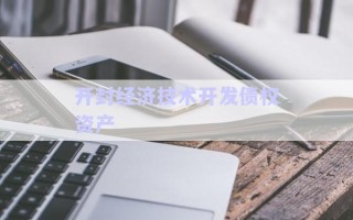 開封經(jīng)濟技術(shù)開發(fā)債權(quán)資產(chǎn)