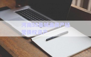 河南SS縣城鑫資產(chǎn)經(jīng)營(yíng)債權(quán)資產(chǎn)