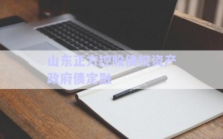 山東正方控股債權(quán)資產(chǎn)政府債定融 山東正方控股債權(quán)資產(chǎn)政府債定融