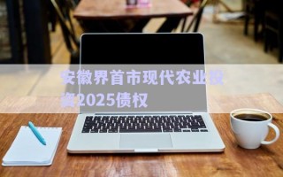 安徽界首市現(xiàn)代農(nóng)業(yè)投資2025債權(quán) 安徽界首市現(xiàn)代農(nóng)業(yè)投資2025債權(quán)