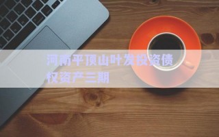 河南平頂山葉發(fā)投資債權(quán)資產(chǎn)三期 河南平頂山葉發(fā)投資債權(quán)資產(chǎn)三期
