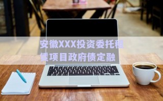 安徽XXX投資委托租賃項目政府債定融