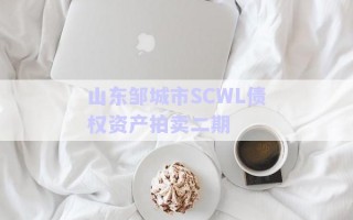 山東鄒城市SCWL債權(quán)資產(chǎn)拍賣二期 山東鄒城市SCWL債權(quán)資產(chǎn)拍賣二期