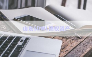 山東SDWL債權資產(chǎn)