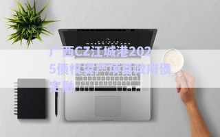 廣西CZ江城港2025債權(quán)資產(chǎn)項(xiàng)目政府債定融