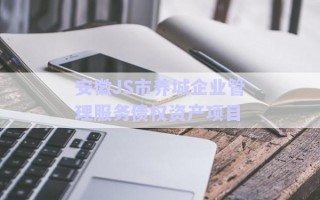 安徽JS市養(yǎng)城企業(yè)管理服務債權資產項目