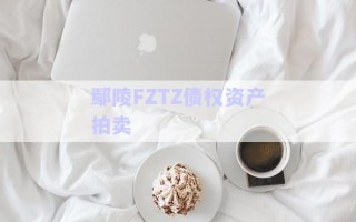 鄢陵FZTZ債權資產拍賣