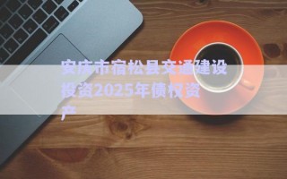 安慶市宿松縣交通建設投資2025年債權資產(chǎn) 安慶市宿松縣交通建設投資2025年債權資產(chǎn)