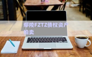 鄢陵FZTZ債權(quán)資產(chǎn)拍賣 鄢陵FZTZ債權(quán)資產(chǎn)拍賣