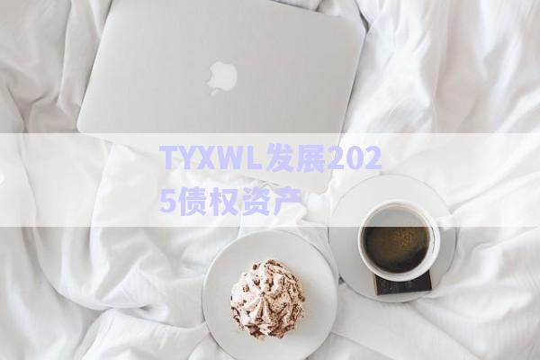 TYXWL發(fā)展2025債權資產(chǎn)-第1張圖片-政信固收網(wǎng)