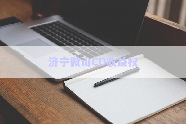 濟寧微山CD收益權(quán)-第1張圖片-政信固收網(wǎng)