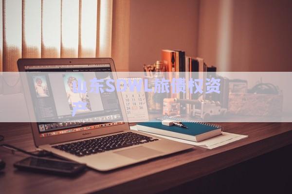 山東SDWL旅債權資產(chǎn)-第1張圖片-政信固收網(wǎng)