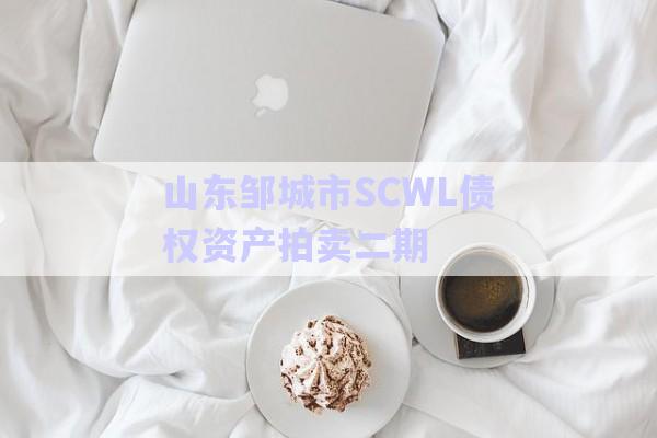 山東鄒城市SCWL債權(quán)資產(chǎn)拍賣二期-第1張圖片-政信固收網(wǎng)