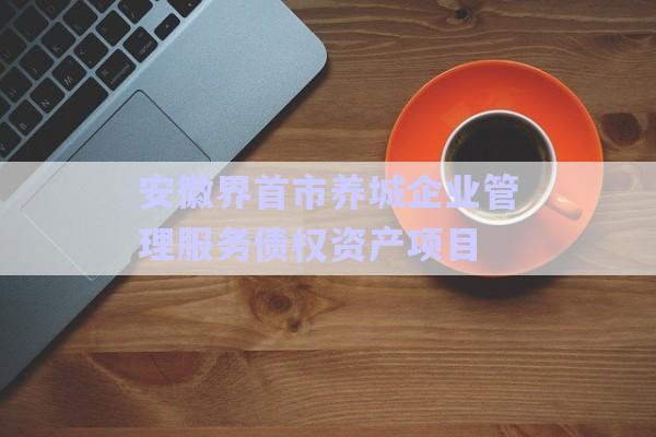 安徽界首市養(yǎng)城企業(yè)管理服務債權資產(chǎn)項目-第1張圖片-政信固收網(wǎng)