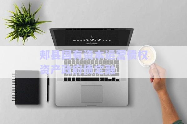 郟縣國(guó)有資本運(yùn)營(yíng)債權(quán)資產(chǎn)政府債定融-第1張圖片-政信固收網(wǎng)