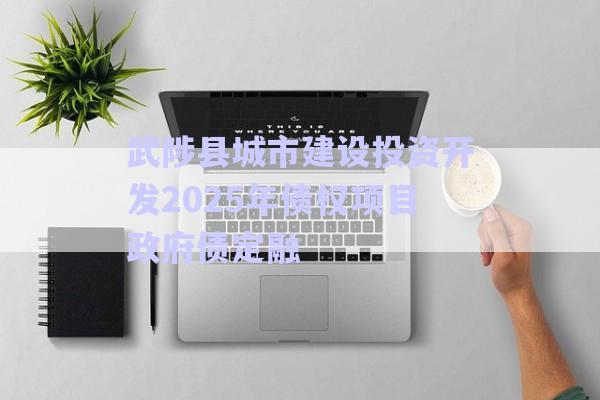 武陟縣城市建設(shè)投資開發(fā)2025年債權(quán)項(xiàng)目政府債定融-第1張圖片-政信固收網(wǎng)