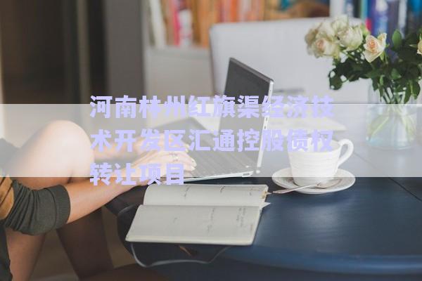河南林州紅旗渠經(jīng)濟(jì)技術(shù)開發(fā)區(qū)匯通控股債權(quán)轉(zhuǎn)讓項目-第1張圖片-政信固收網(wǎng)